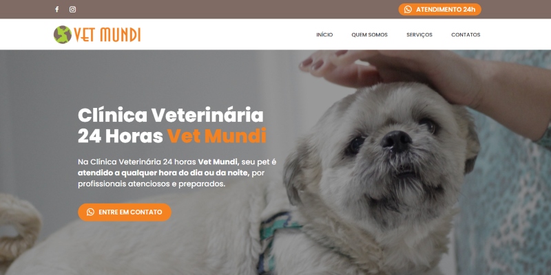 Criação de sites em Caxias do Sul